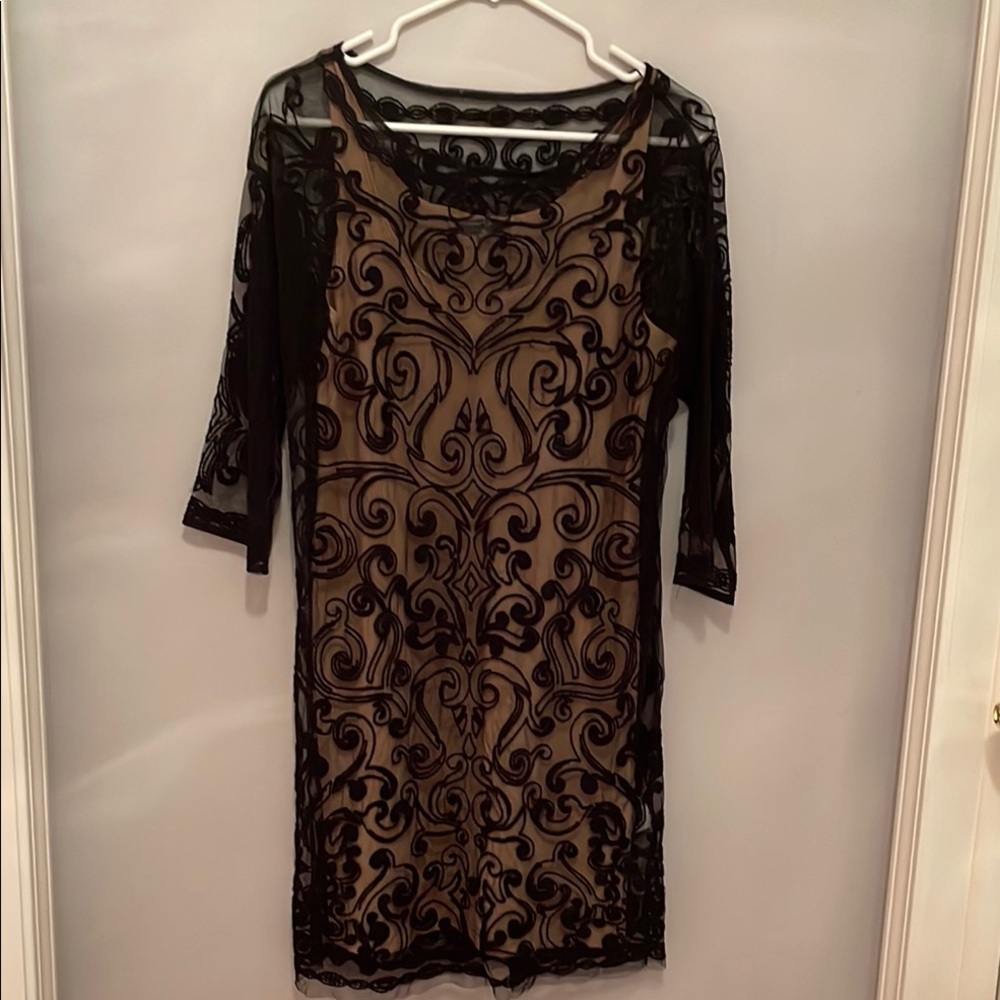 Elegant Black Lace Overlay Dress